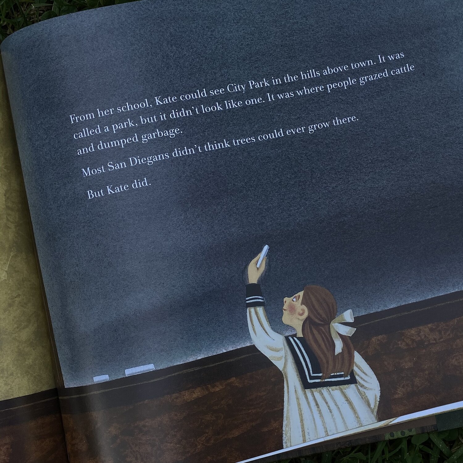 Page from the Tree Lady Book